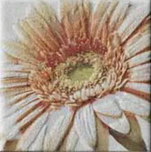 Плитка керам KRISHNA 10W MIX 10*10