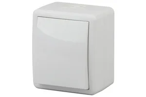 Выключатель ЭРА Эксперт 1 кл. накладной белый 11-1401-01, 10АХ-250В, IP54