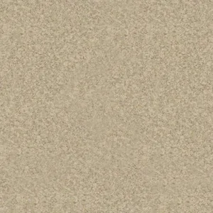 Линолеум Profi Premium Nevada 1_9002 шир.3,0м