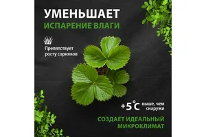 Материал укрывной спанбонд, СУФ, 1,6х10м, 60г/м2, черный