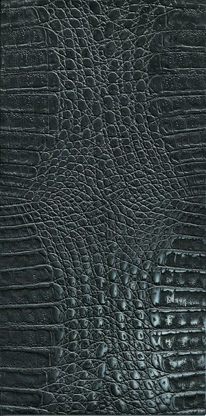 Плитка керам FINN 36 5N LP 30*60 R