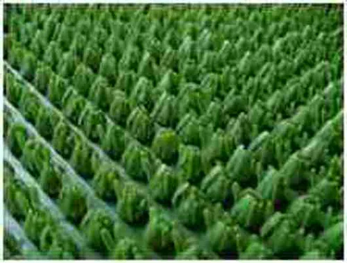 Покрытие щетинистое Альфа-стиль163 зеленый  шир.0,9м