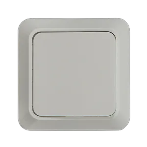 Выключатель BOLLETO 1 кл. накладной белый 7021 IN HOME