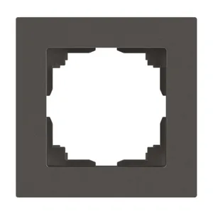 Рамка ЭРА Intro Accent 6-501-09, 1-постовая, титан