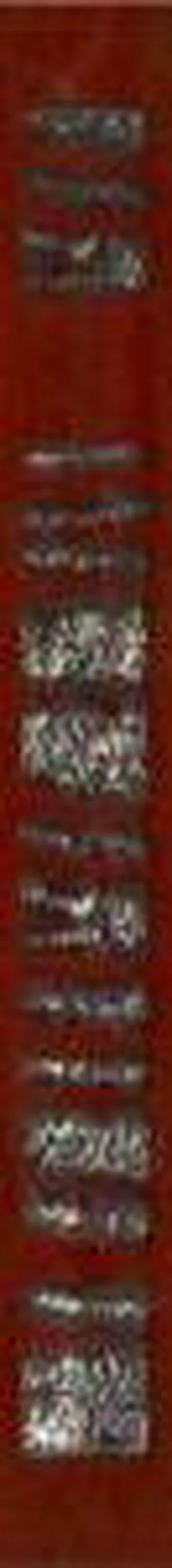 Плитка керам L. HOLI 4R 4,5*40